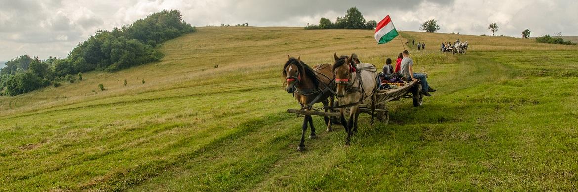 Magyarok egy helyen - Petőfi Program