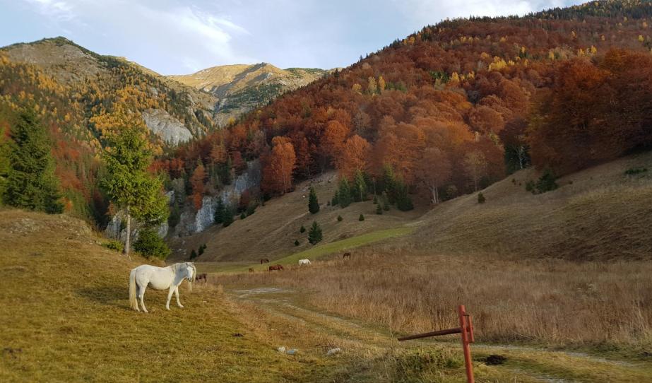 Retyezát - Piule